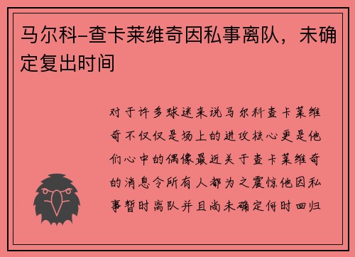马尔科-查卡莱维奇因私事离队,未确定复出时间